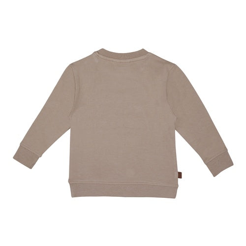 Racoon sweatshirt