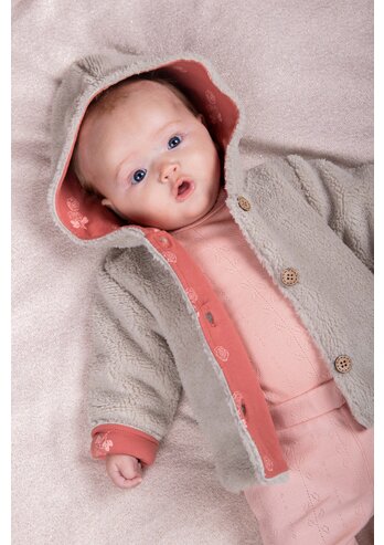 TEDDY JAS