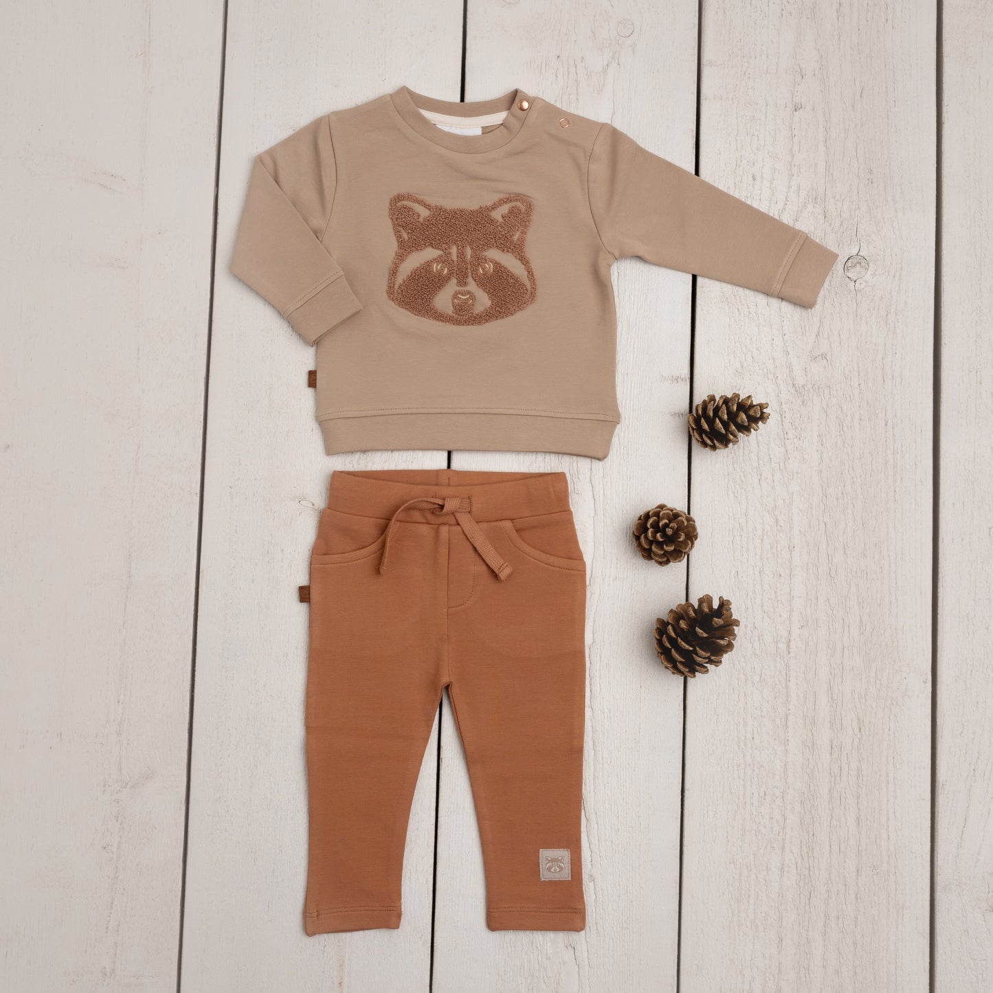 Racoon sweatshirt