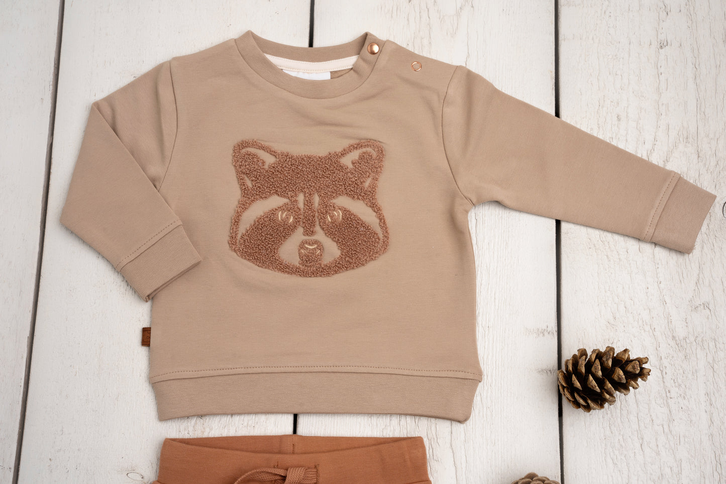 Racoon sweatshirt