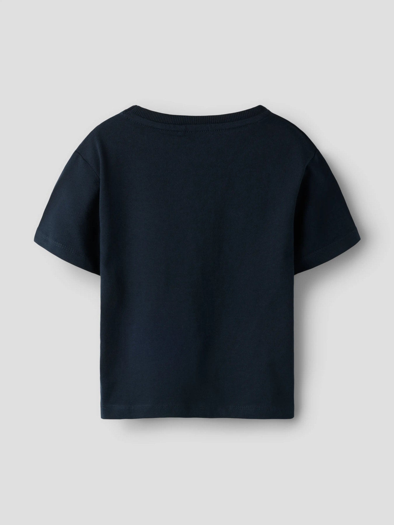 NAME IT T-shirt Salute met Visjes Print - Blauw - achterkant