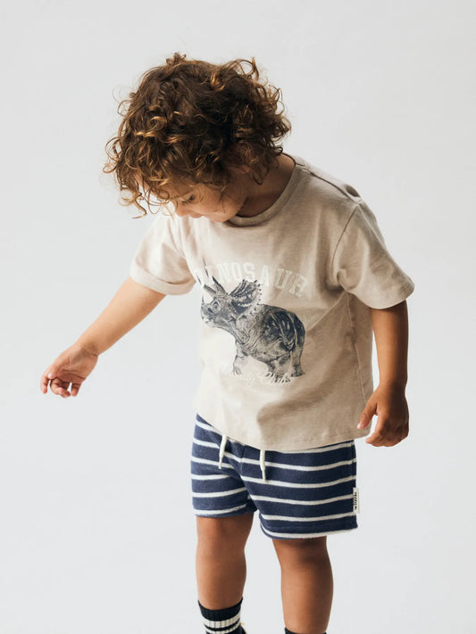 NAME IT Jongens T-shirt Dino - Chateau Gray - styling