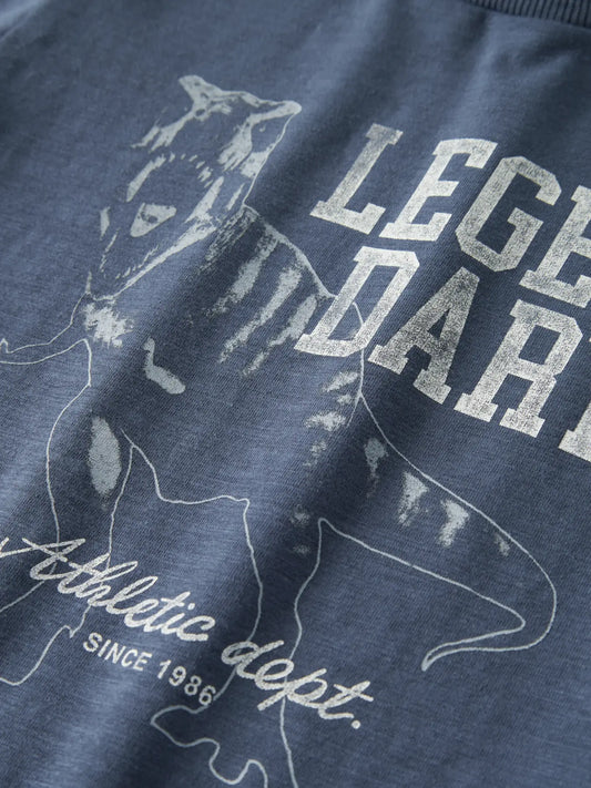 NAME IT Jongens T-shirt Dino - Vintage Indigo - detail