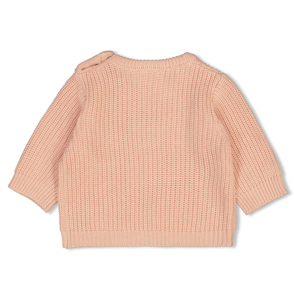 Sweater gebreid