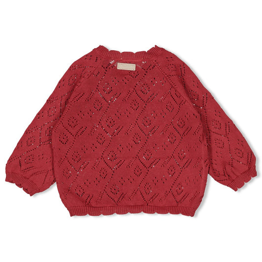 FEETJE Ladybug gebreid vest meisjes achterkant roze truitje detail