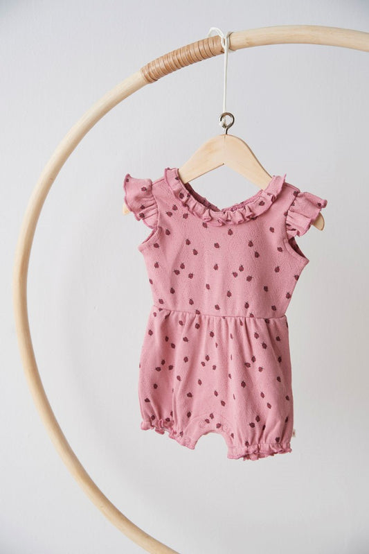Sfeerbeeld FEETJE Ladybug jumpsuit roze met vrolijke print