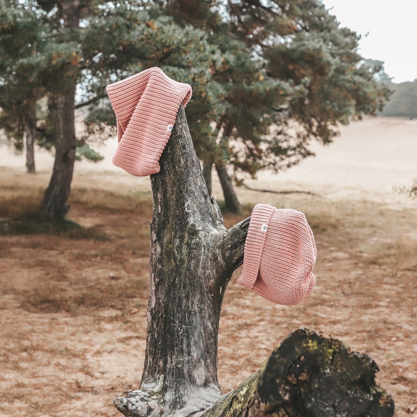 MUTS ROZE