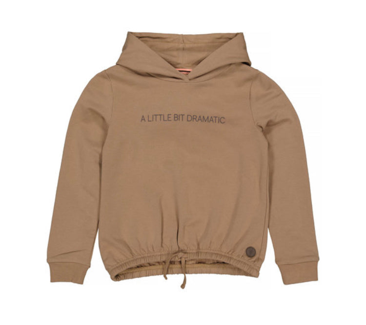 Trui Alix Brown sesam