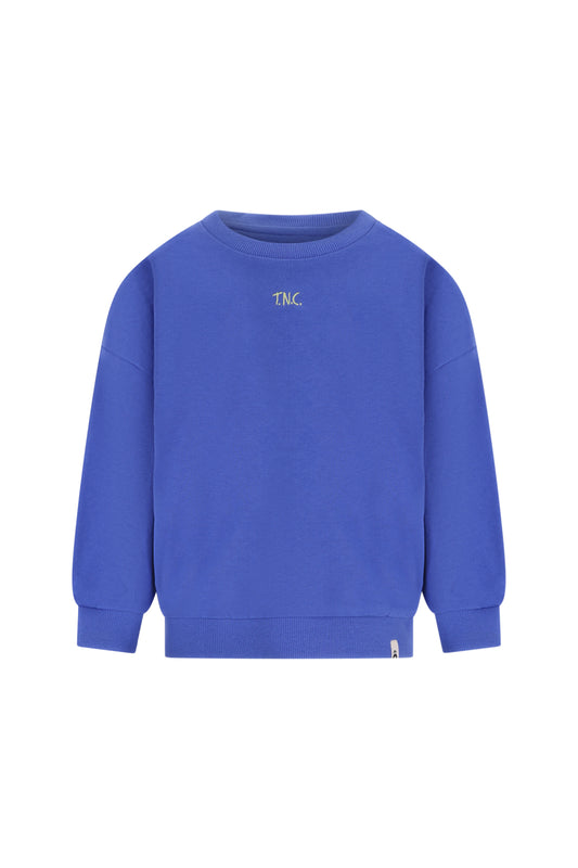 THE NEW CHAPTER blauwe Hocus Pocus sweater voor kinderen - voorkant