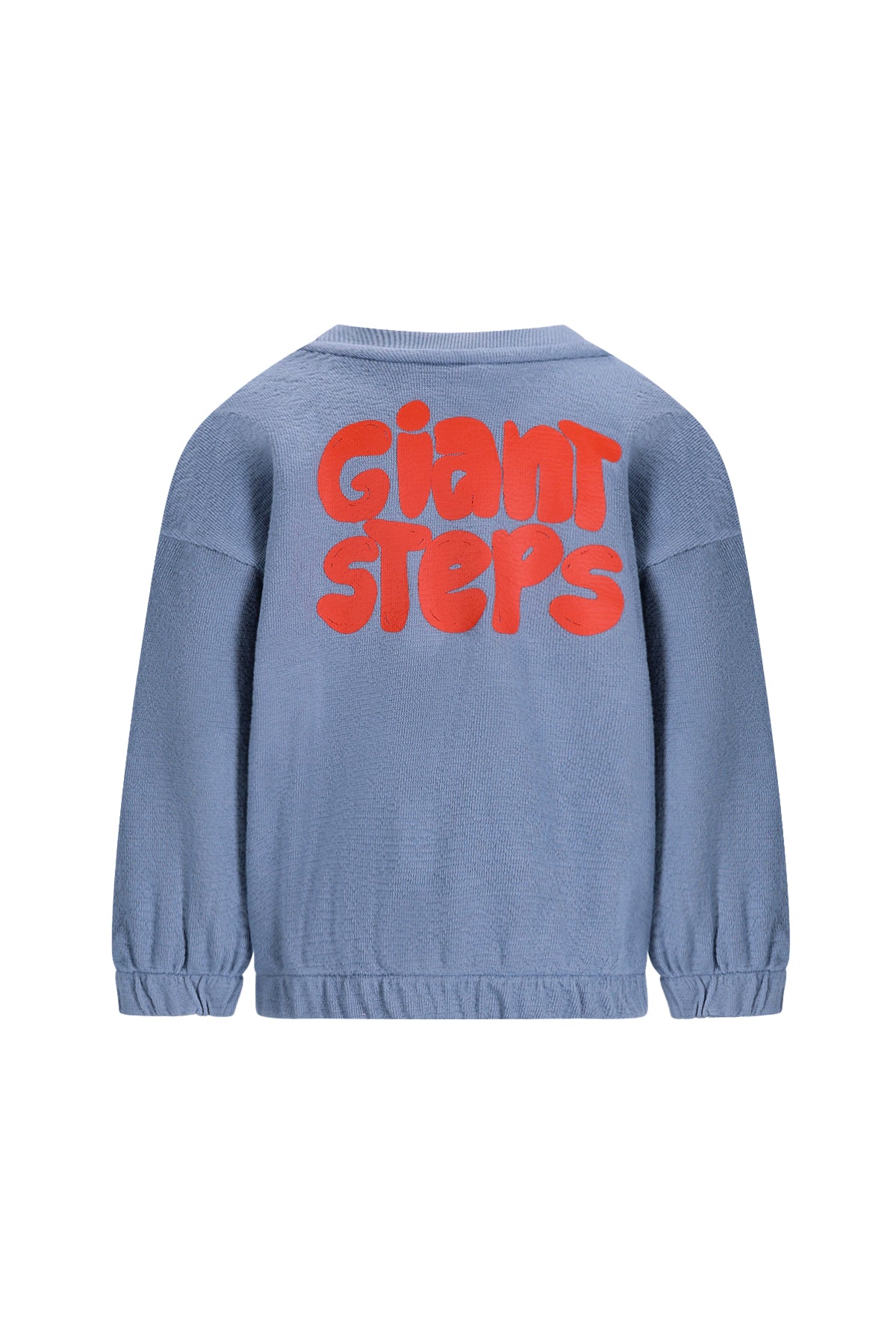 The New Chapter jongenssweater blauw Giant Steps - achterkant met print