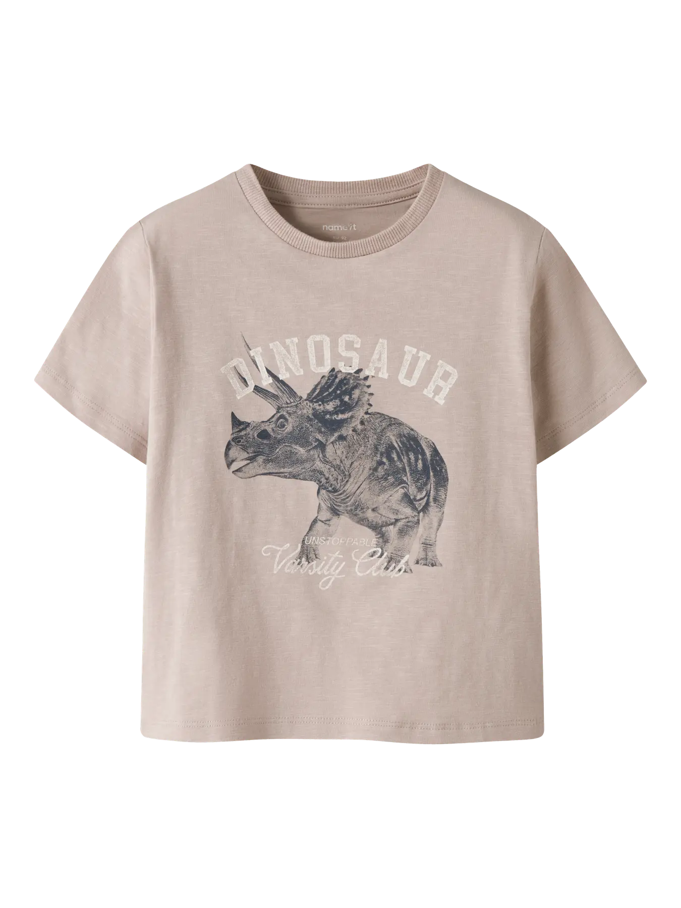 NAME IT Jongens T-shirt Dino - Chateau Gray - voorkant