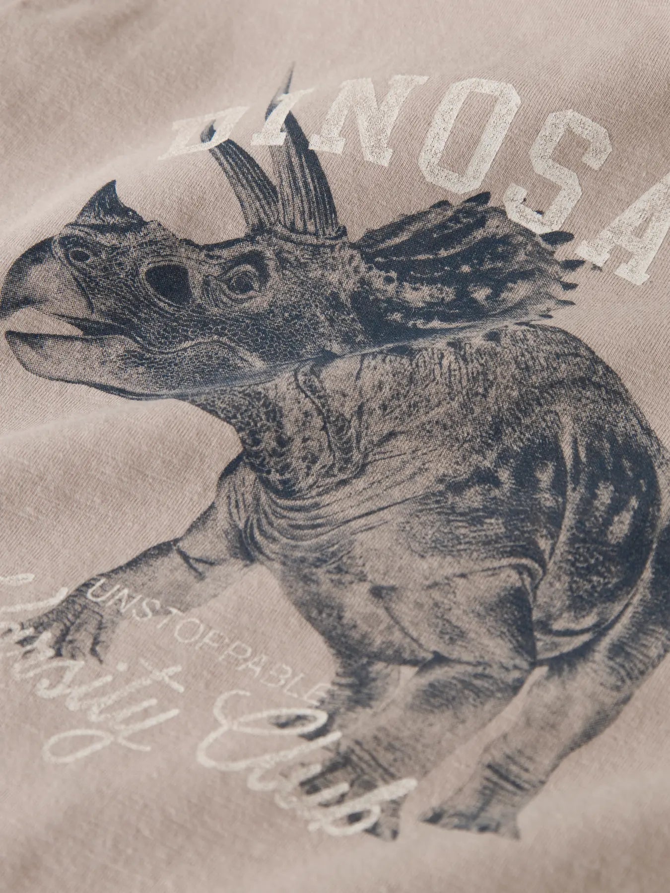 NAME IT Jongens T-shirt Dino - Chateau Gray - detail