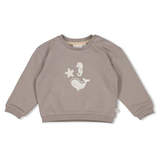 Feetje Sweater Oversized Sea Sweeties - Baby Trui Grijs - voorkant