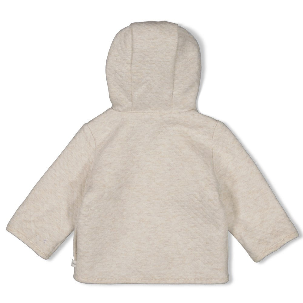 Feetje Omkeerbaar Jasje Sea Sweeties - Baby Vest met Kap - achterkant