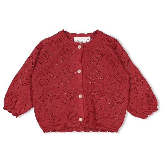 FEETJE Ladybug vest gebreid meisjes roze truitje met details
