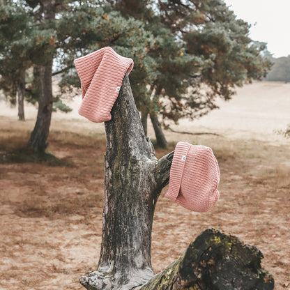 SJAAL ROZE