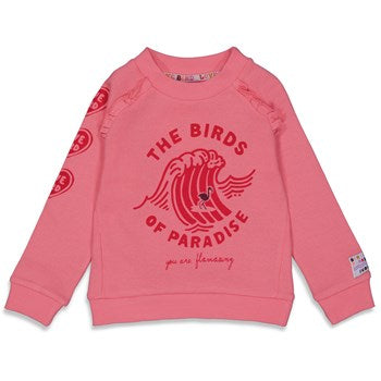 Sweater - Birds Of Paradise